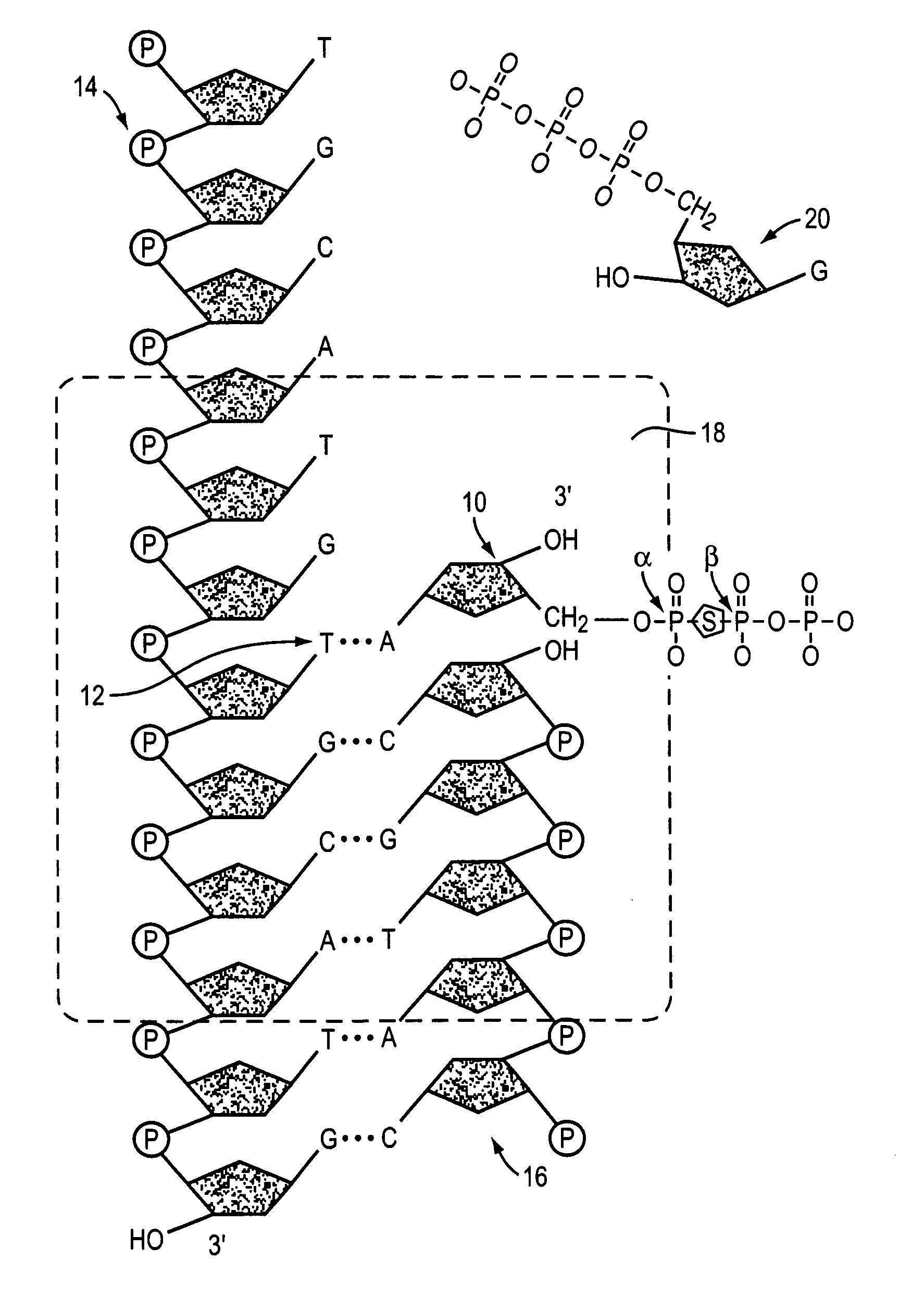 Methods and compositions for improving fidelity in a nucleic acid synthesis reaction