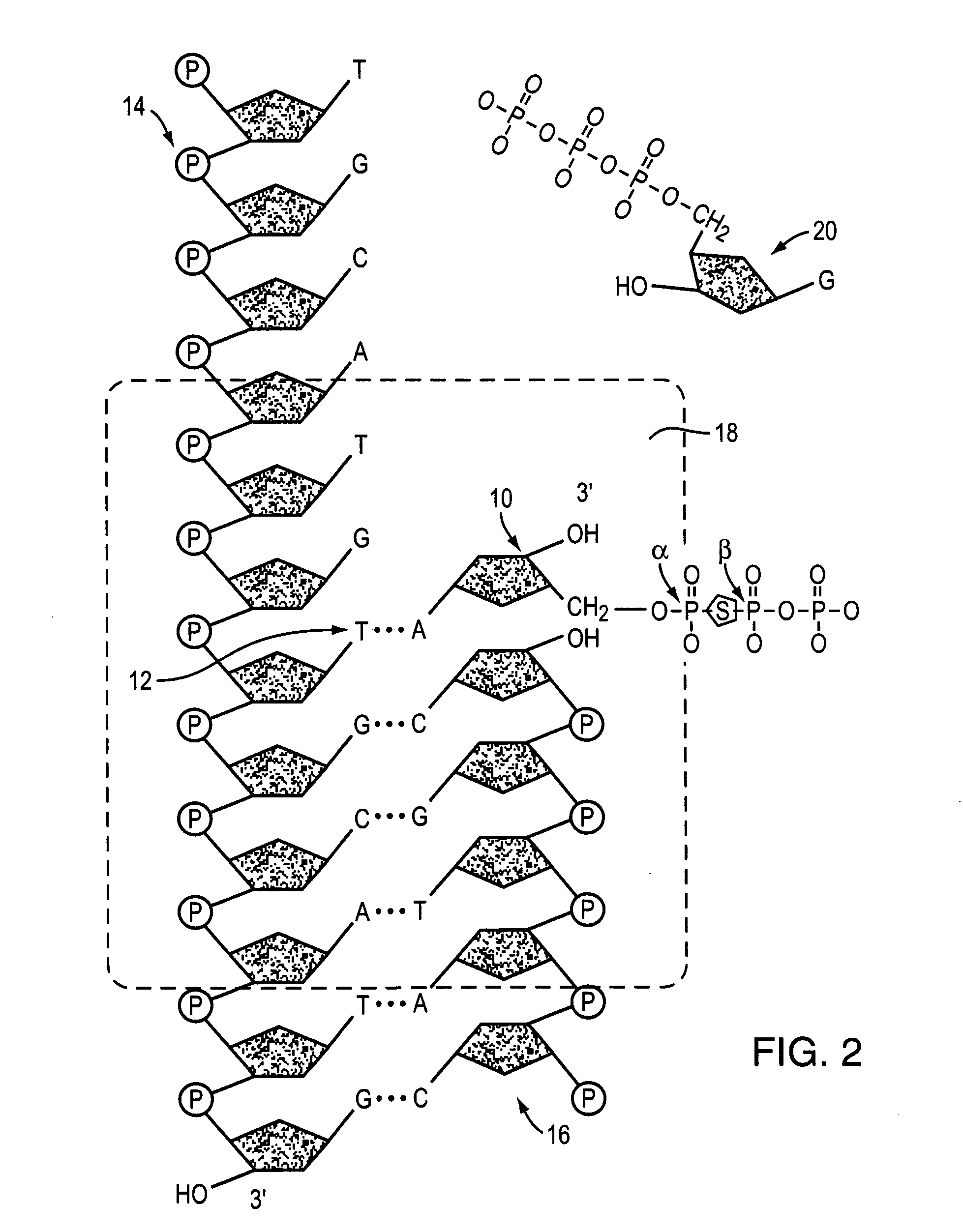 Methods and compositions for improving fidelity in a nucleic acid synthesis reaction