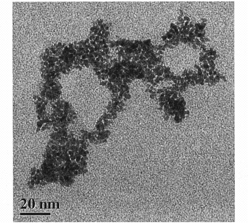 Catalyst slurry for fuel cell double-effect oxygen electrode, preparation method and application thereof