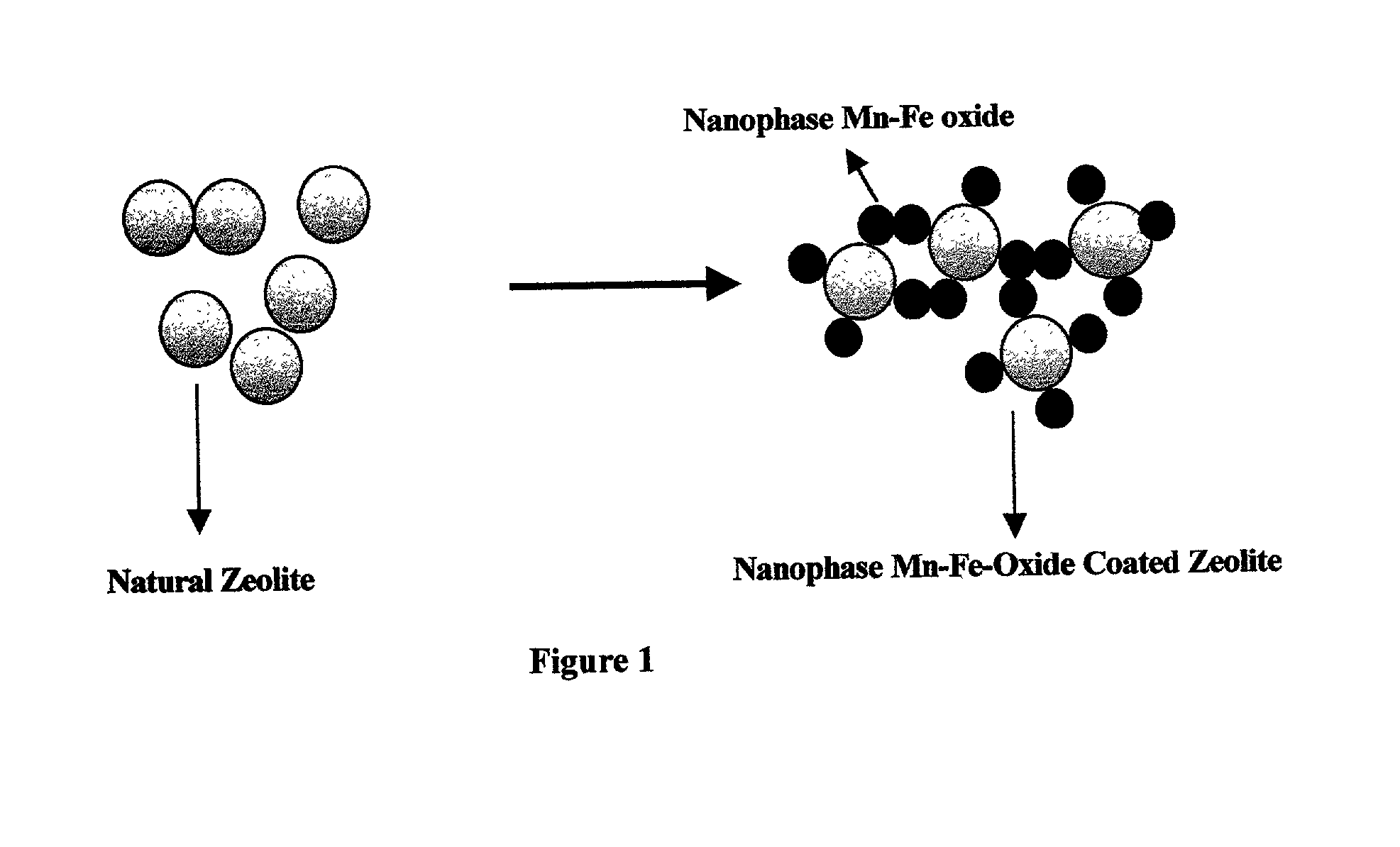 Absorbent for arsenic species and method of treating arsenic-contaminated waters