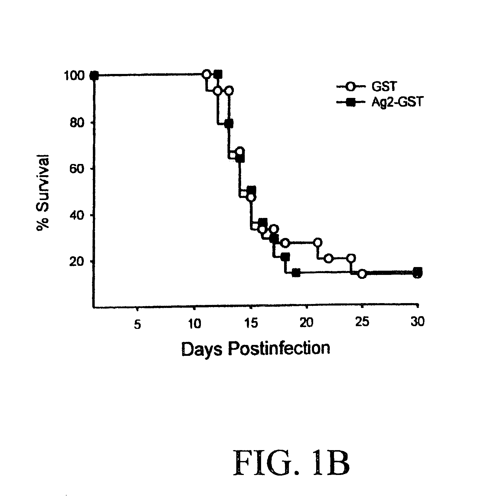 Peptide and DNA immunization against Coccidioides immitis infections