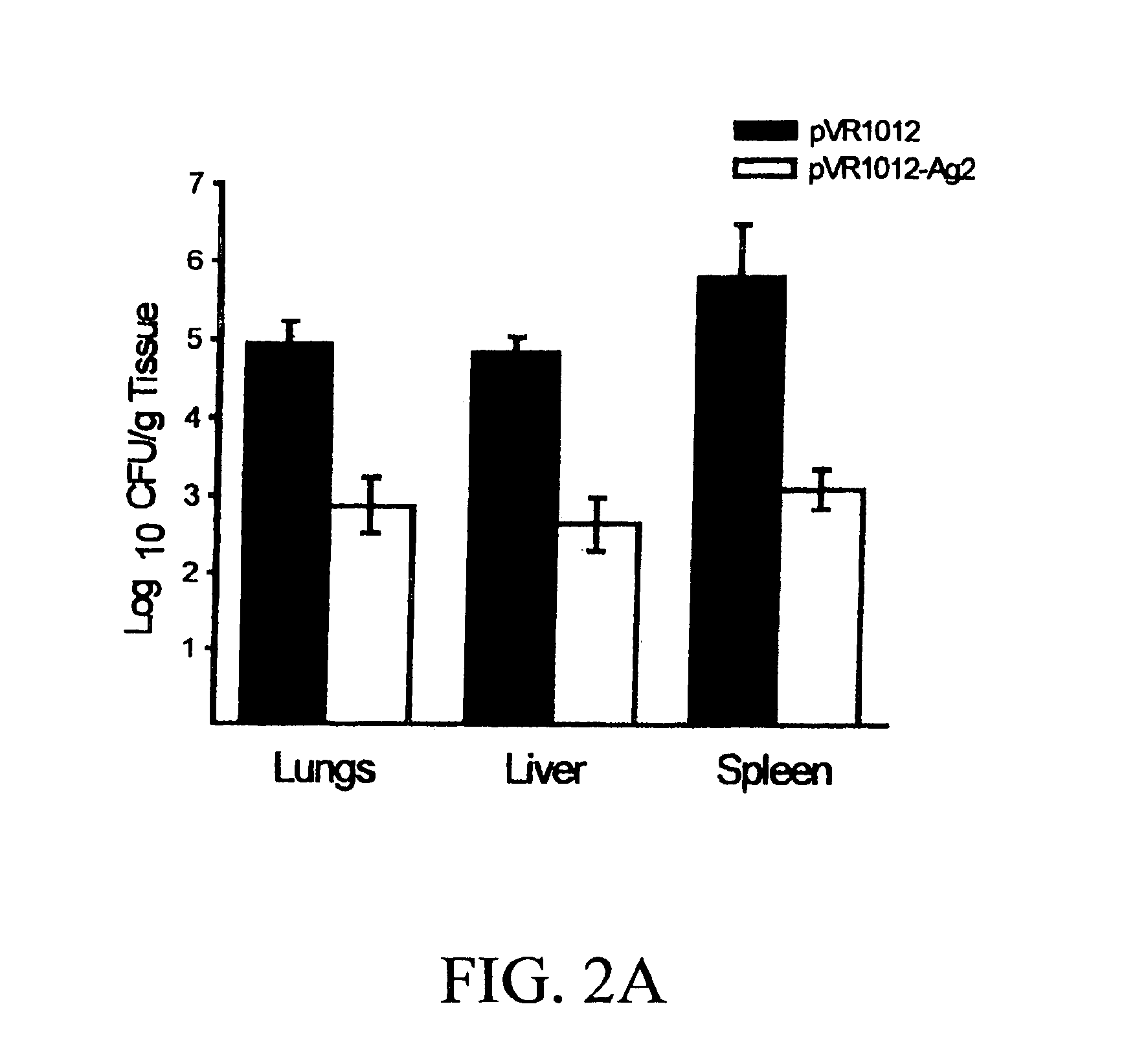 Peptide and DNA immunization against Coccidioides immitis infections