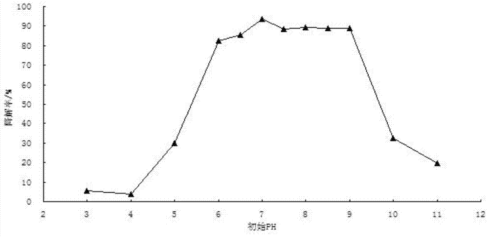 Rhodococcus strains and their applications