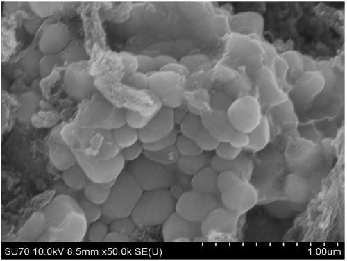 Method for preparing carbon nanomaterial by using high temperature solid oxide fuel cell