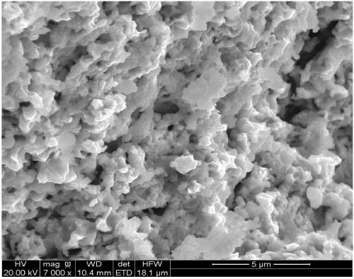 Method for preparing carbon nanomaterial by using high temperature solid oxide fuel cell