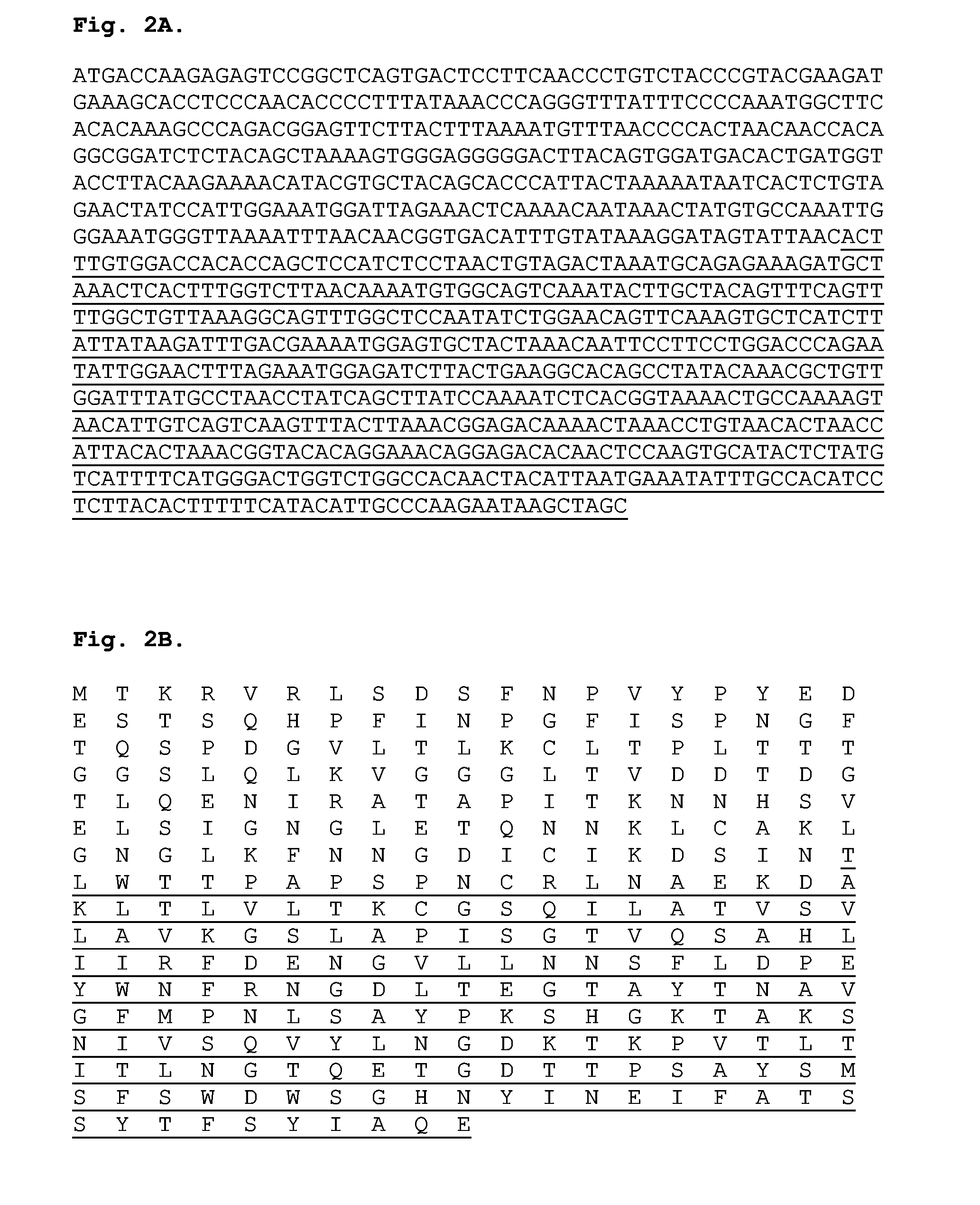 Adenoviral vectors and uses thereof