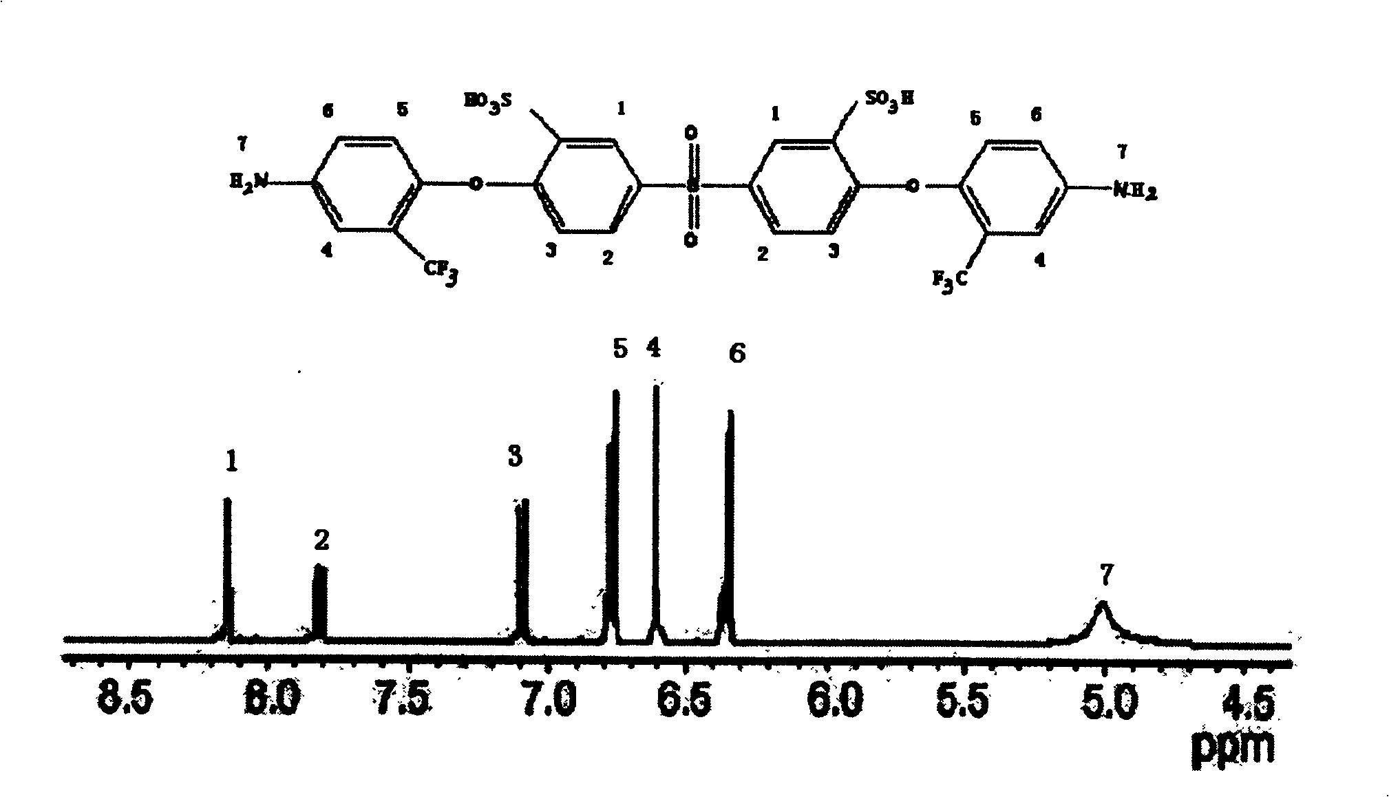 Hydrolyzation tolerant sulfonated polyimide proton exchange membrane and preparation thereof