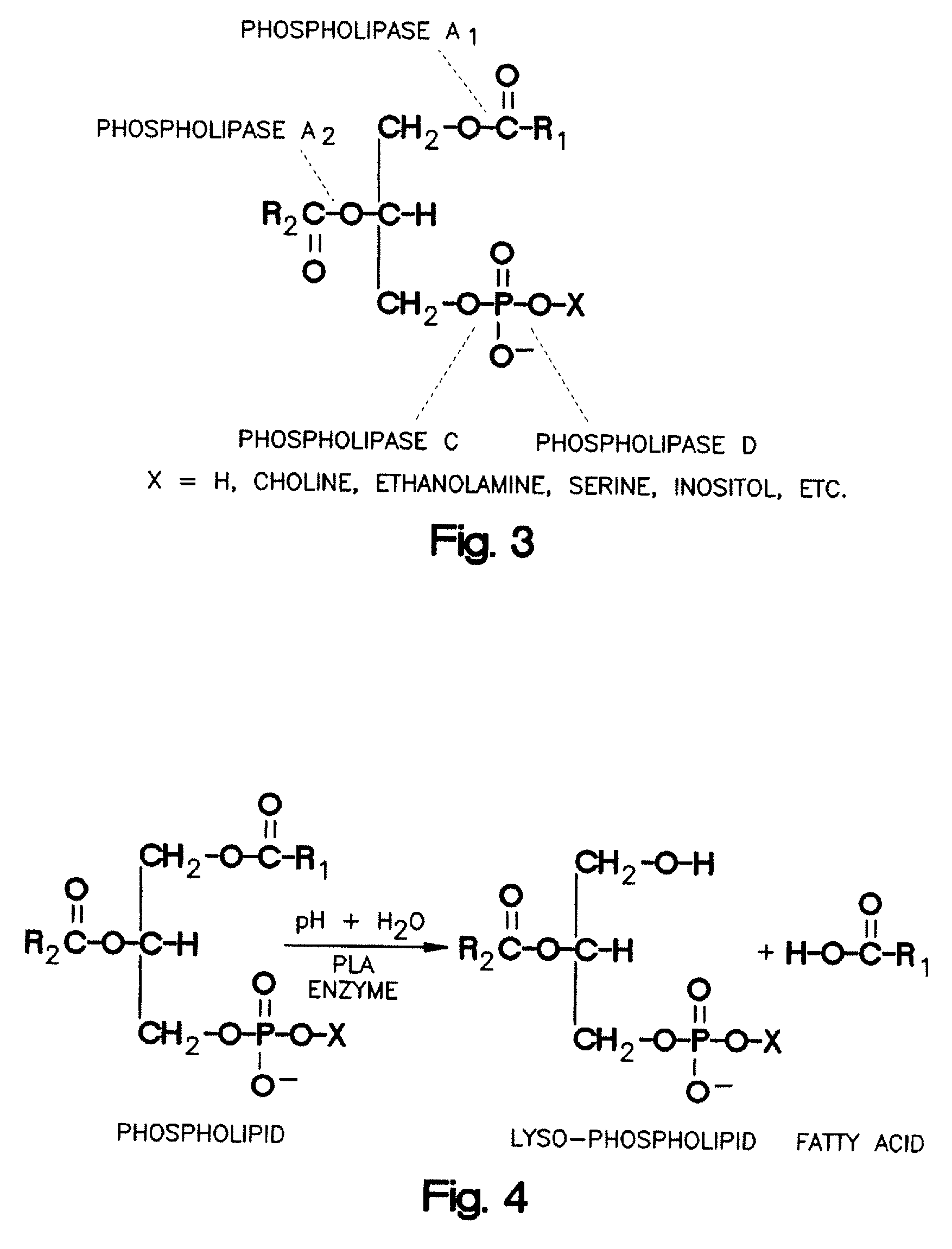 Enzymatic degumming utilizing a mixture of PLA and PLC phospholipases with reduced reaction time