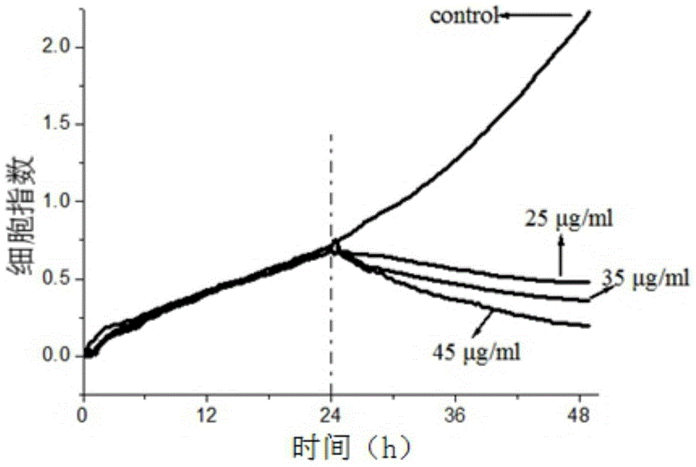 Application of ellagitannins flavone in preparation of antitumor drugs