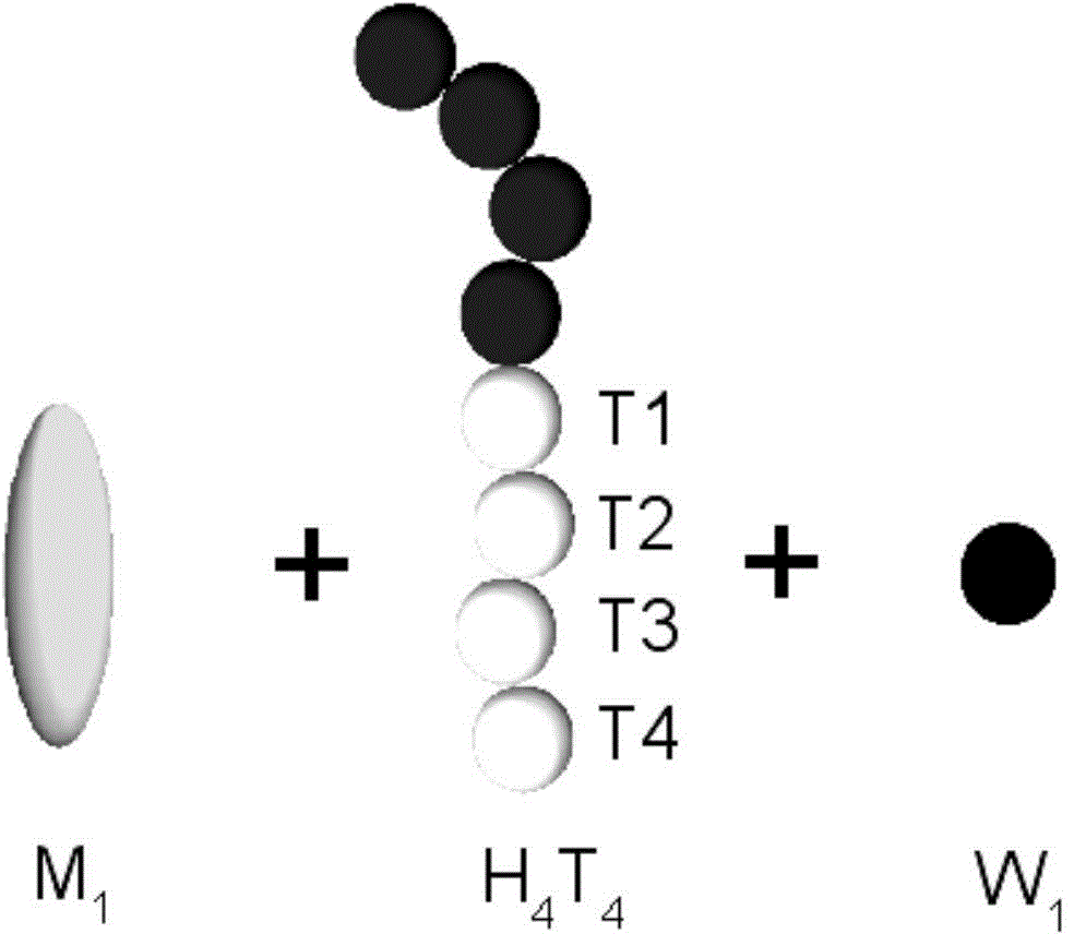 Model construction method for coarse-grained molecular dynamics study on water-surfactant-liquid crystal three-phase mixed system