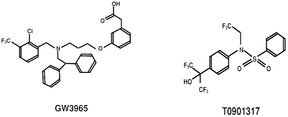 Application of cellular target liver X receptor in preparation of drugs treating hepatitis C virus