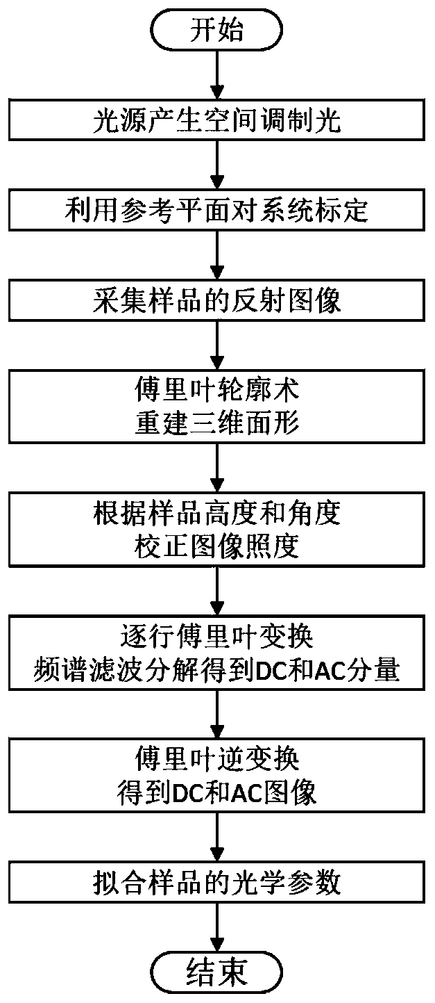 Method and apparatus for measuring tissue topography and optical parameters based on spatial frequency domain imaging