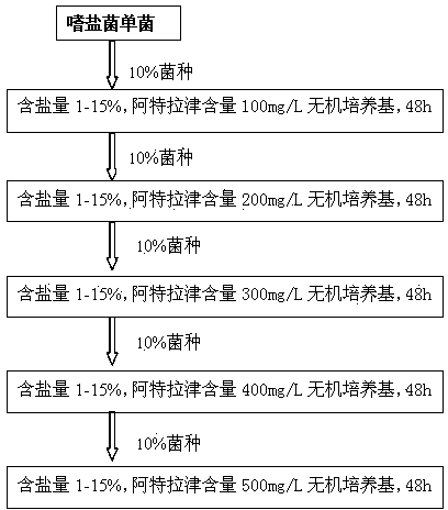 Halophilic bacteria fungicide as well as preparation thereof, biological treatment system containing fungicide and application of fungicide in treating triazine wastewater