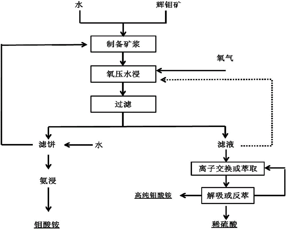 Method for co-producing ammonium molybdate and sulfuric acid through treating molybdenite by oxygen-pressure water soaking process