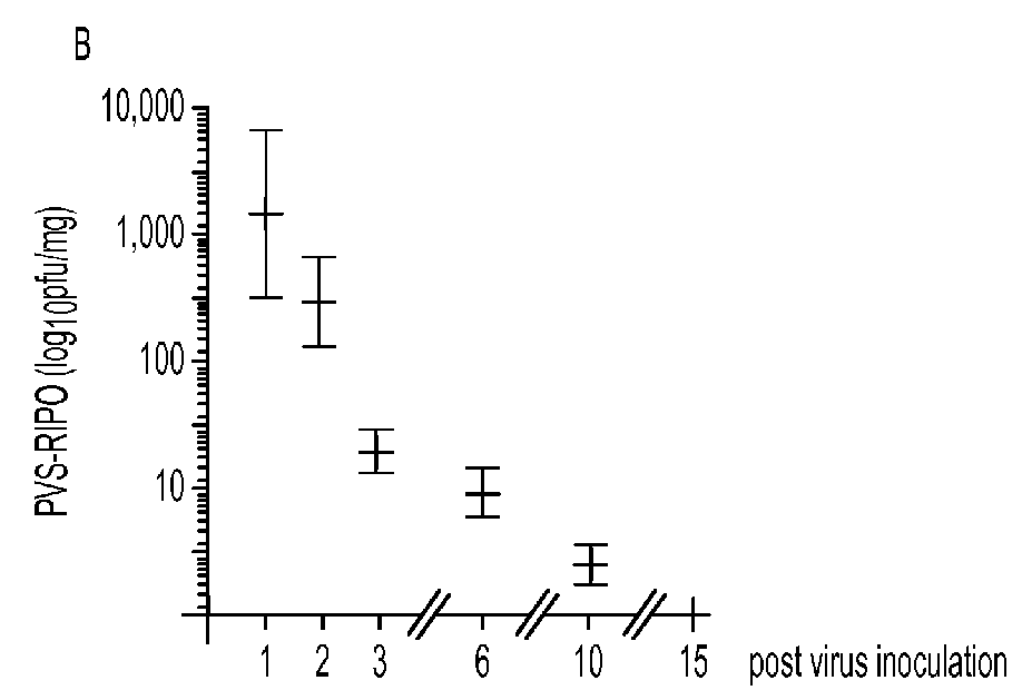 Oncolytic poliovirus for human tumors