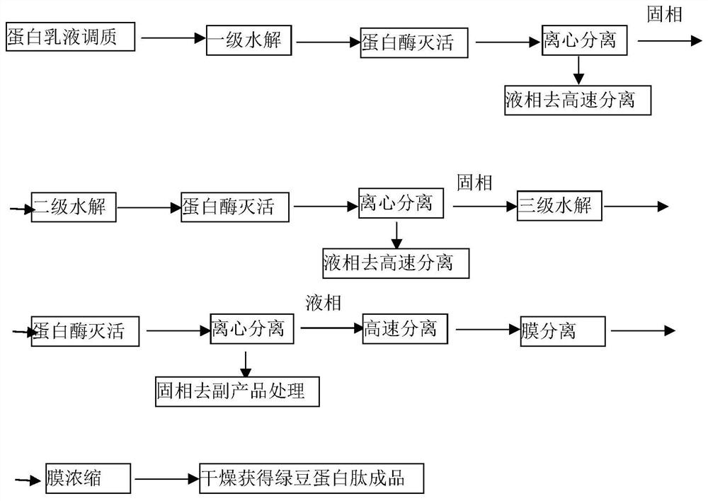 Mung bean protein peptide preparation method