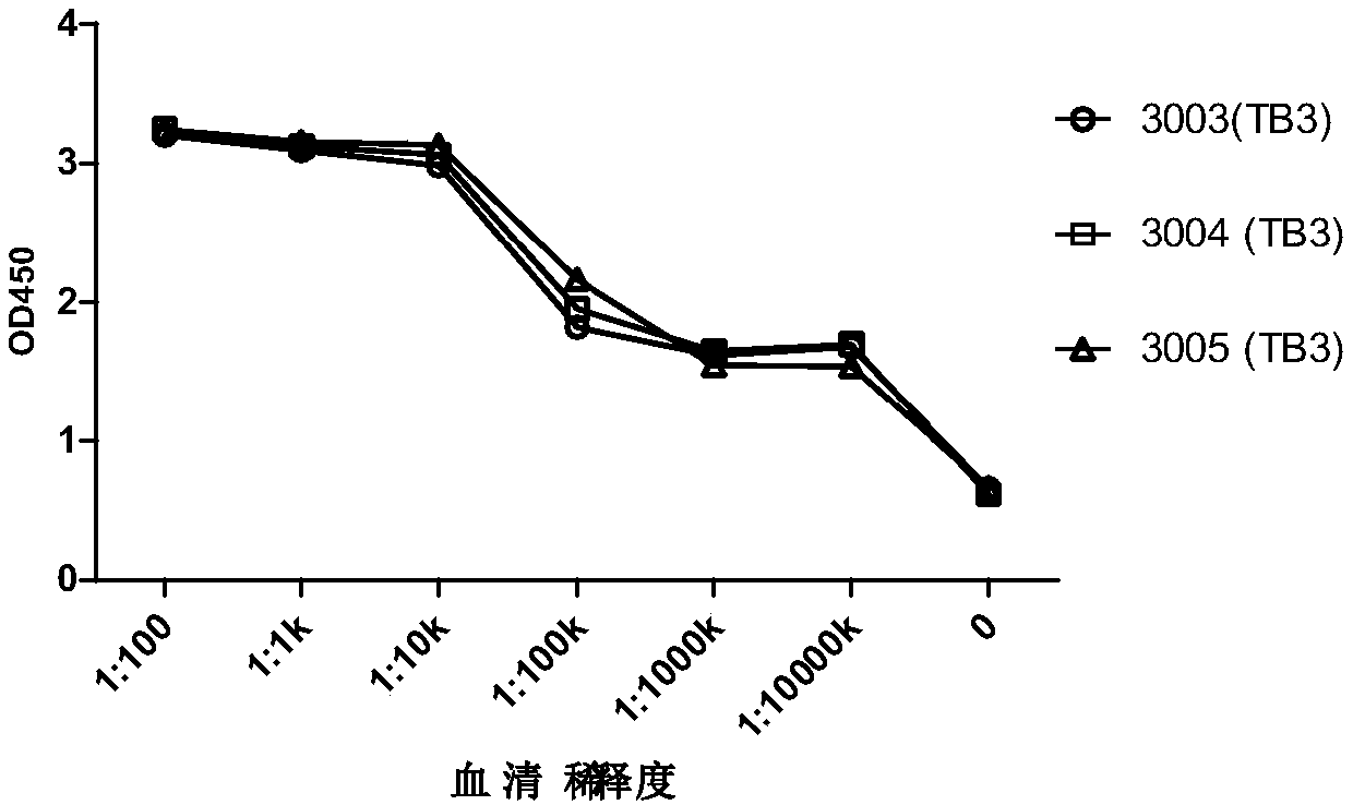 4-1BB antibody, and preparation method and application thereof