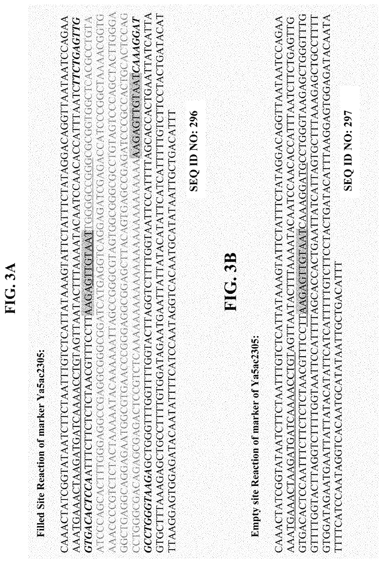 Method for genetic detection using interspersed genetic elements: a multiplexed DNA analysis system