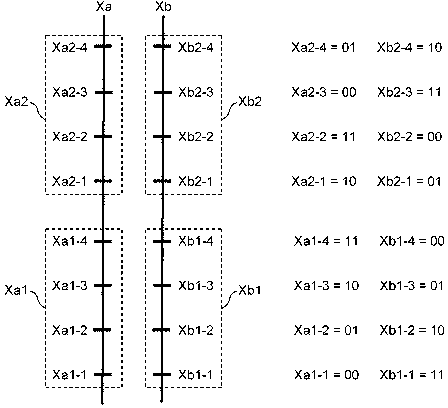 Information expression method, article formed with information expression pattern, information output device, and information expression device