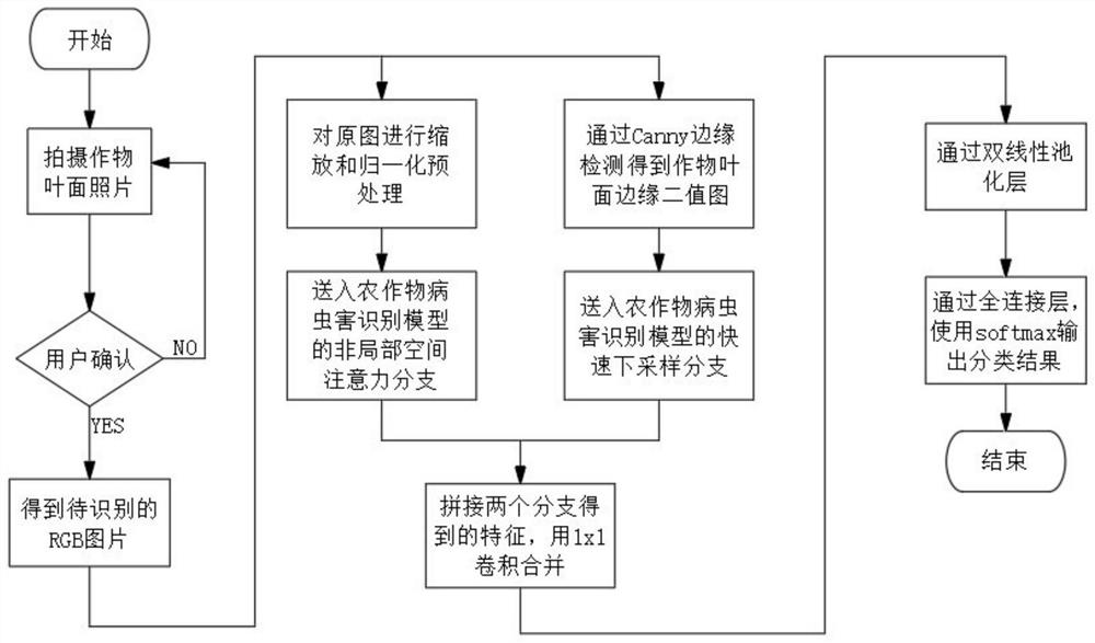 Robust crop disease diagnosis system