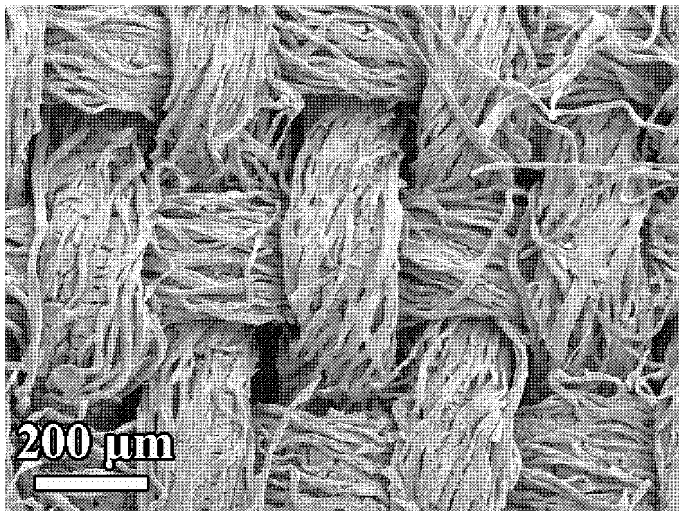 Process for producing high capacity molybdenum dioxide/carbon cathode materials