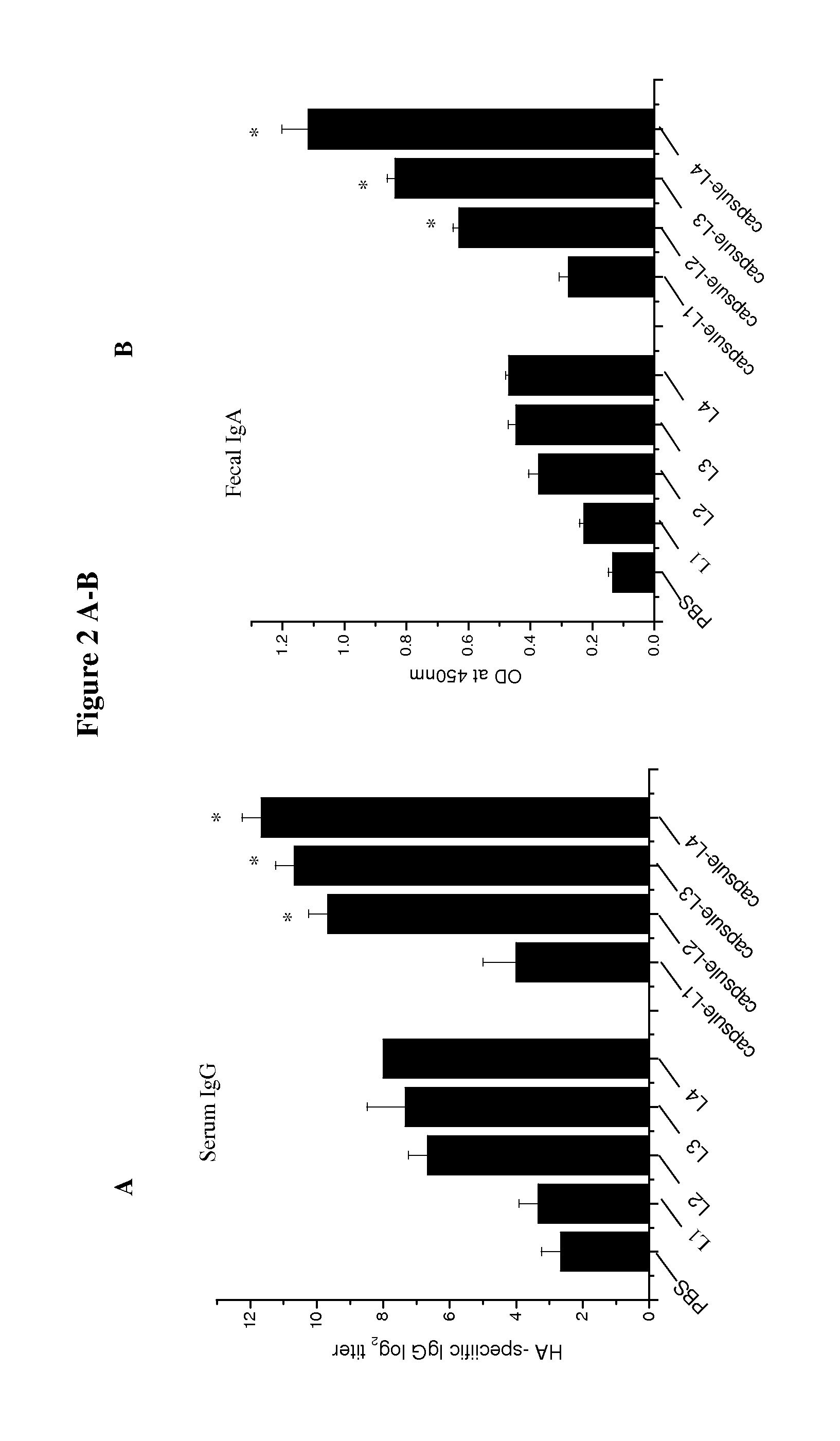 Immunoprotection by oral administration of recombinant lactococcus lactis mini-capsules