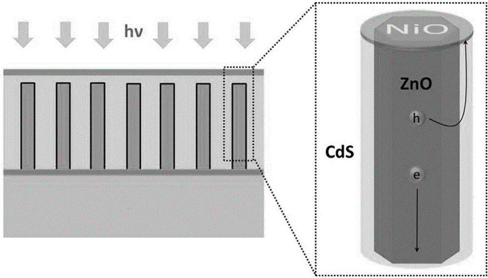 ZnO nano-rod photo-anode and preparation method thereof, solar cell