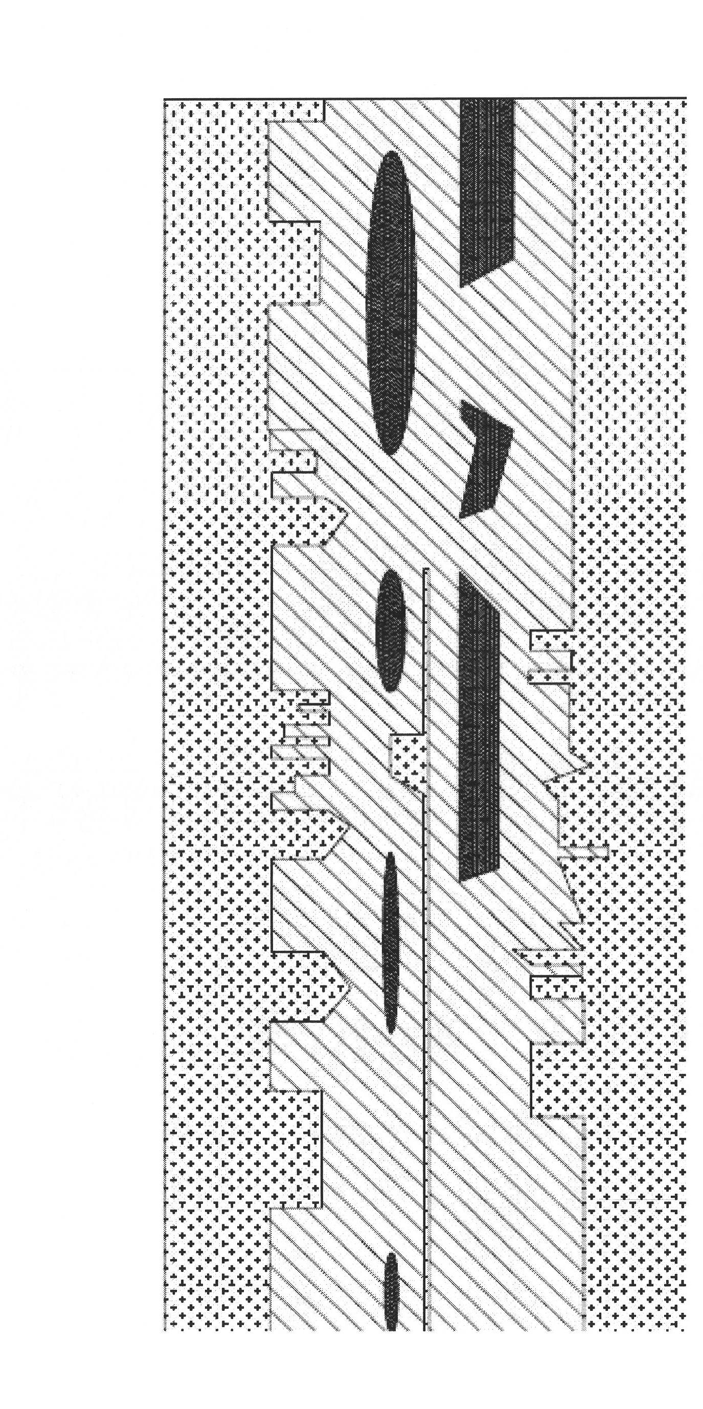 Paver asphalt temperature segregation infrared detection system and detection method