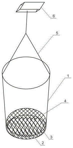 Artificial propagation method of Tachysurus fulvidraco