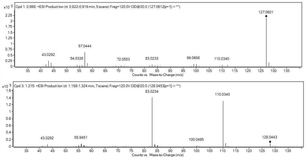 Method for detecting toxoflavin and hotchenkine in food and degradation products of toxoflavin and hotchenkine