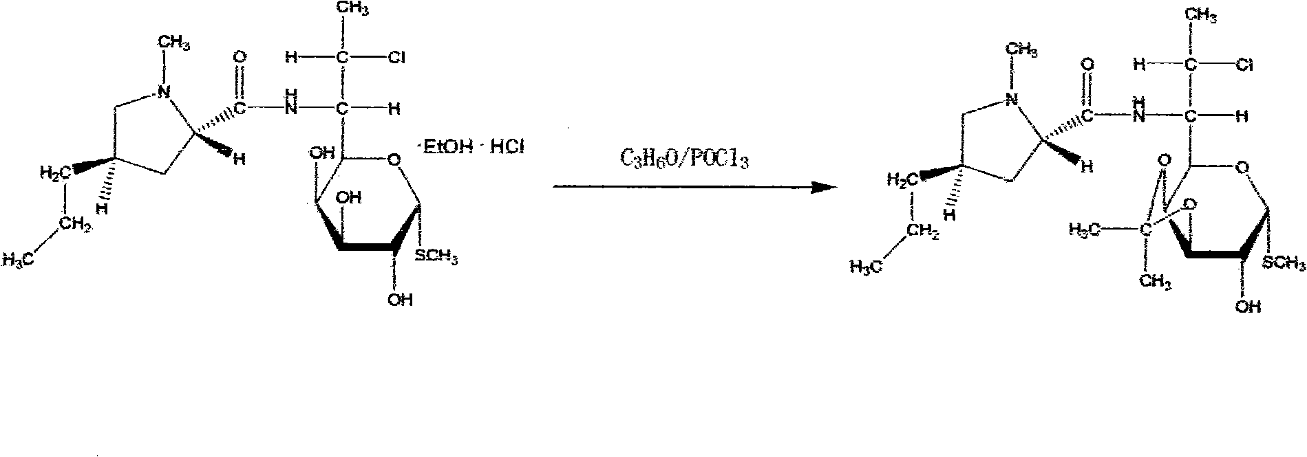 Preparation of clindamycinum phosphoester