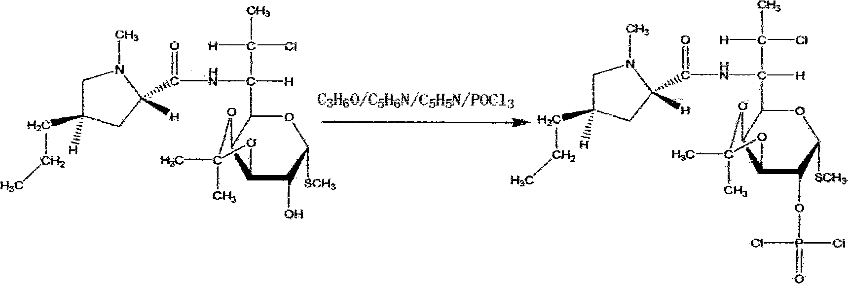 Preparation of clindamycinum phosphoester