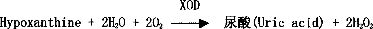 Method and kit for investigating 5'-nucleotidase by coupling enzymatic reaction