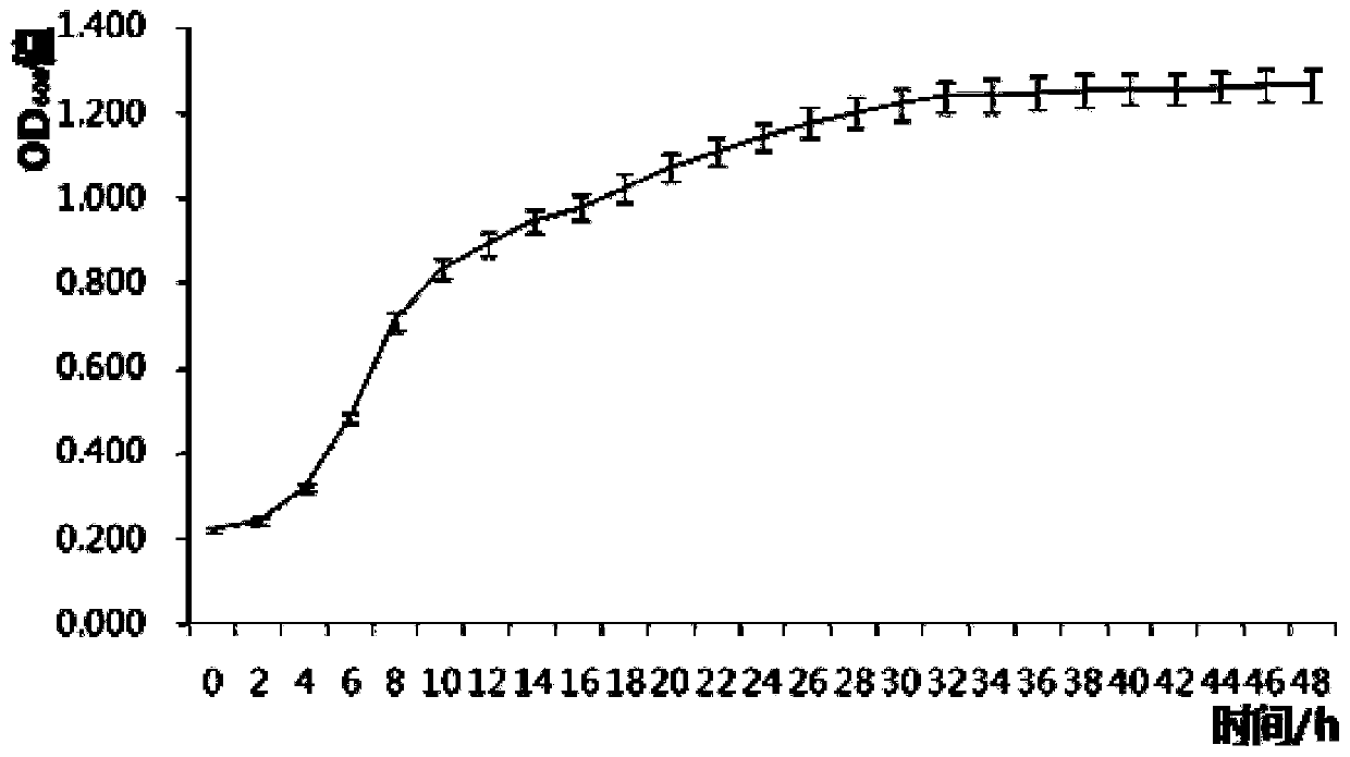 Bacillus aryabhattai for promoting corn root development and application thereof