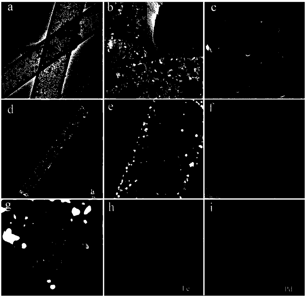 Preparation method of nitrogen-doped graphite sieve tube loaded with metal nanoparticles