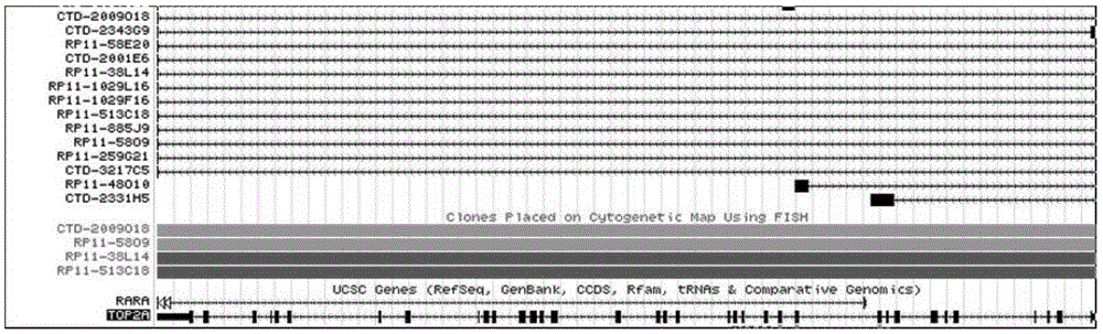 TOP2A gene detection probe, preparation method thereof and reagent kit