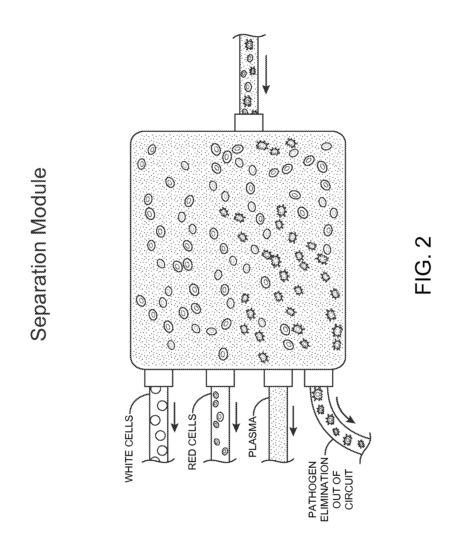 Modular Extracorporeal Systems and Methods for Treating Blood-Borne Diseases