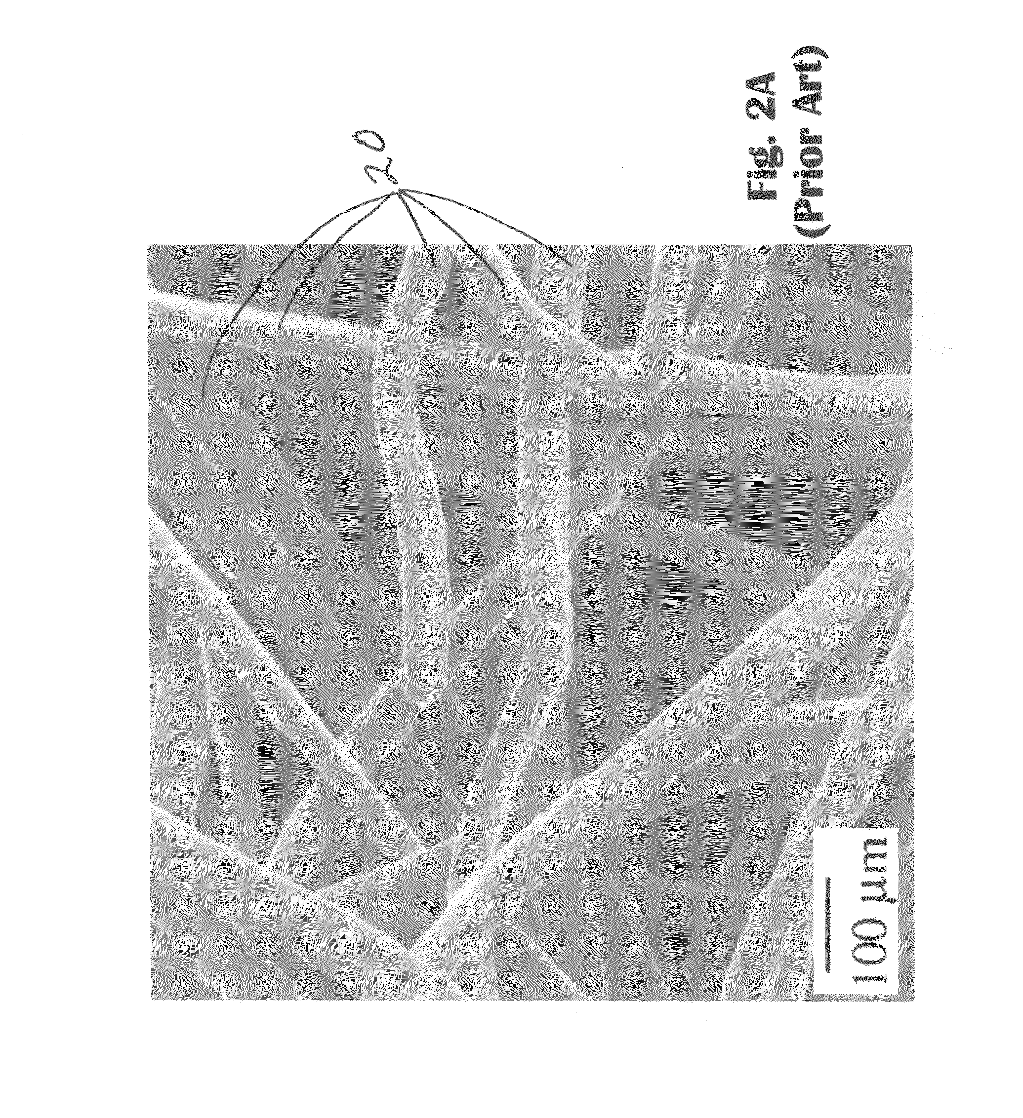 Method for whisker formation on metallic fibers and substrates