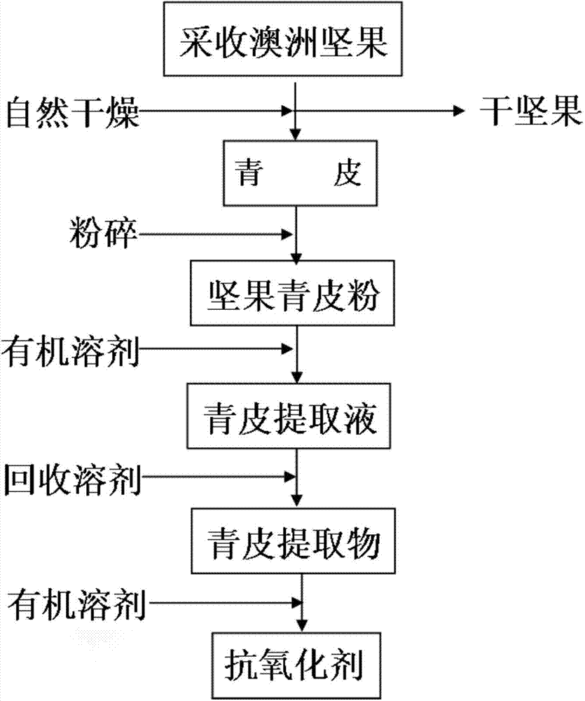 Antioxidant containing Macadamia ternifolia F. Muell green peel extract, preparation method and applications thereof