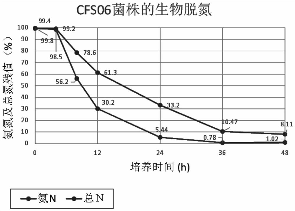 A kind of heterotrophic nitrifying aerobic denitrifying Citrobacter and its application