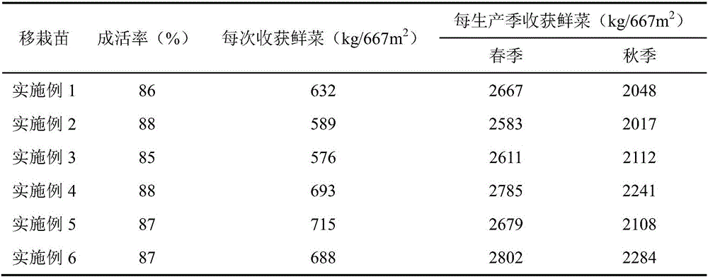 Method for culturing seed tissues and stem tissues of mesembryanthemum crystallinum