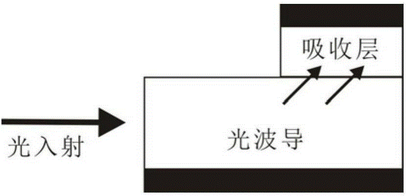 Optical waveguide detector capable of eliminating parasitic capacitance