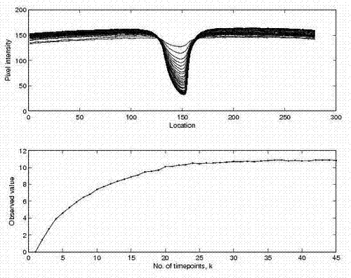 Modeling method for biochemical reaction process of immunochromatography test strip