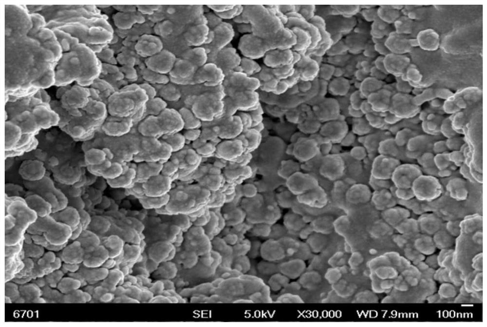 Preparation method of magnetic molecularly imprinted polymer for adsorbing methylene blue