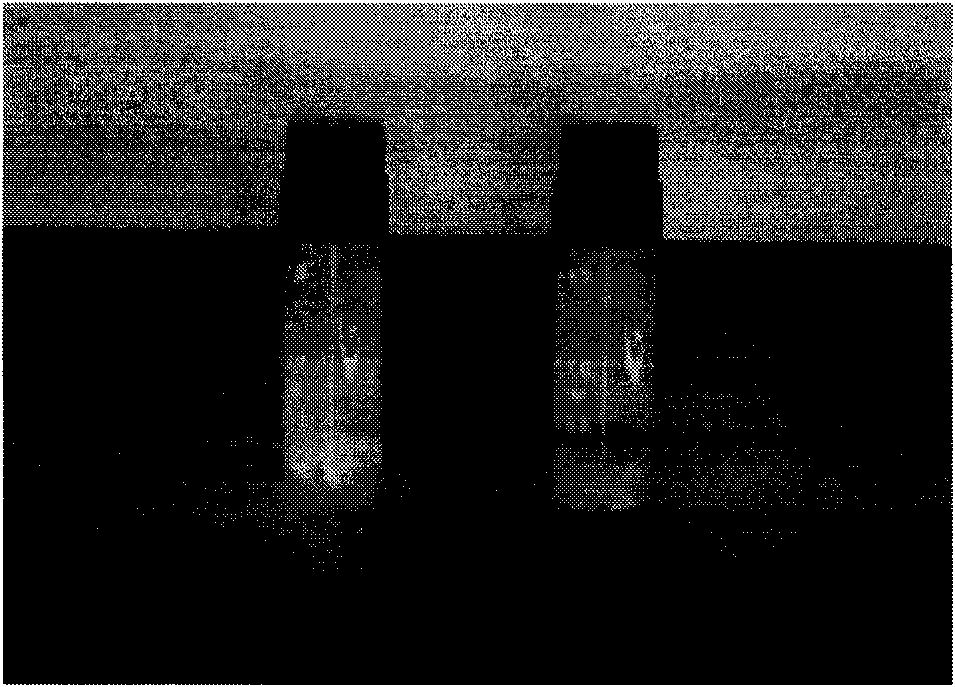 Injection for treating skin defect and preparation method thereof