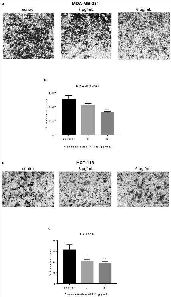 The application of the extract of chrysanthemum in the preparation of anti-oxidation and anti-tumor drugs