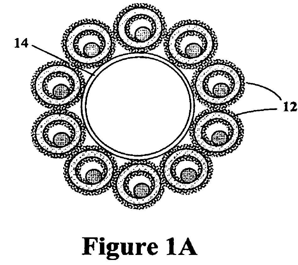 Fuel cell structures and assemblies