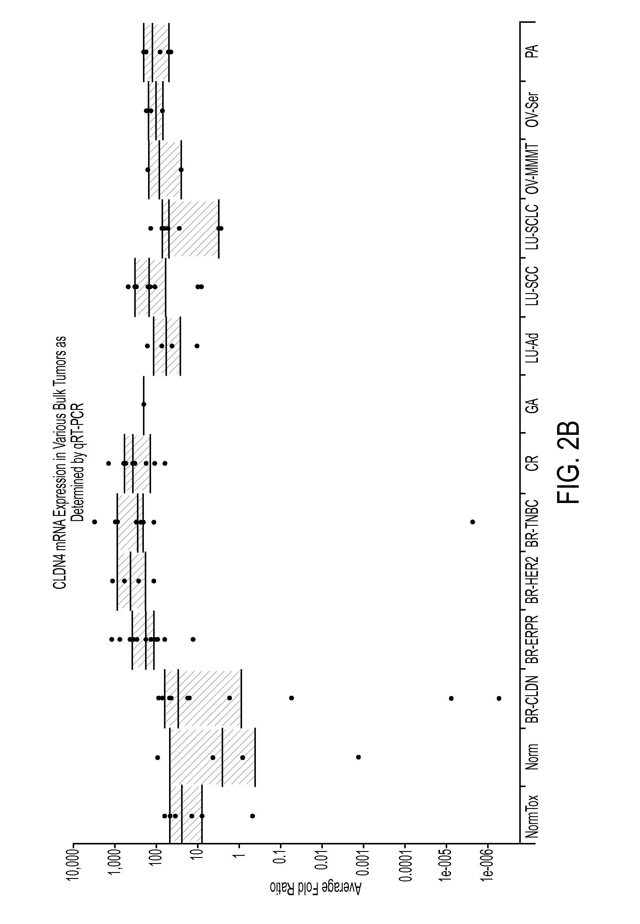 Novel Anti-claudin antibodies and methods of use