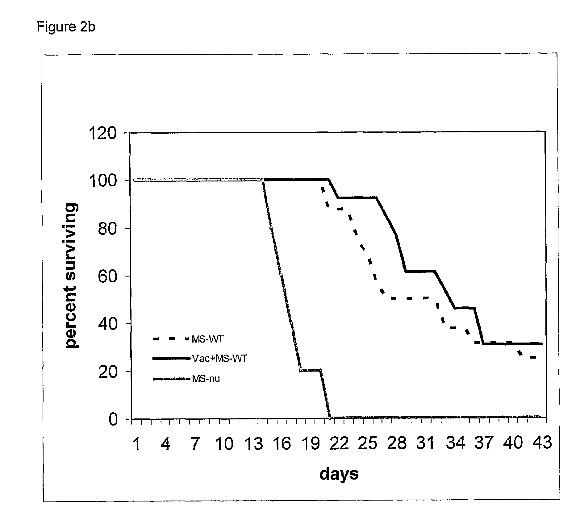 Use of minoxidil sulfate as an anti-tumor drug