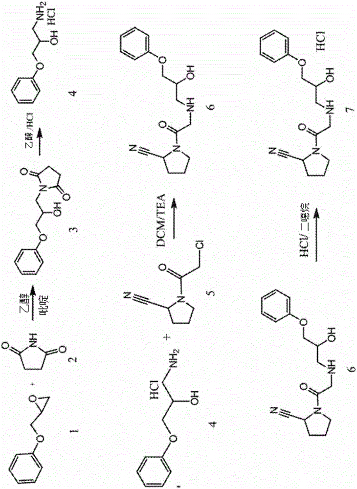 Novel DPP-IV inhibitors